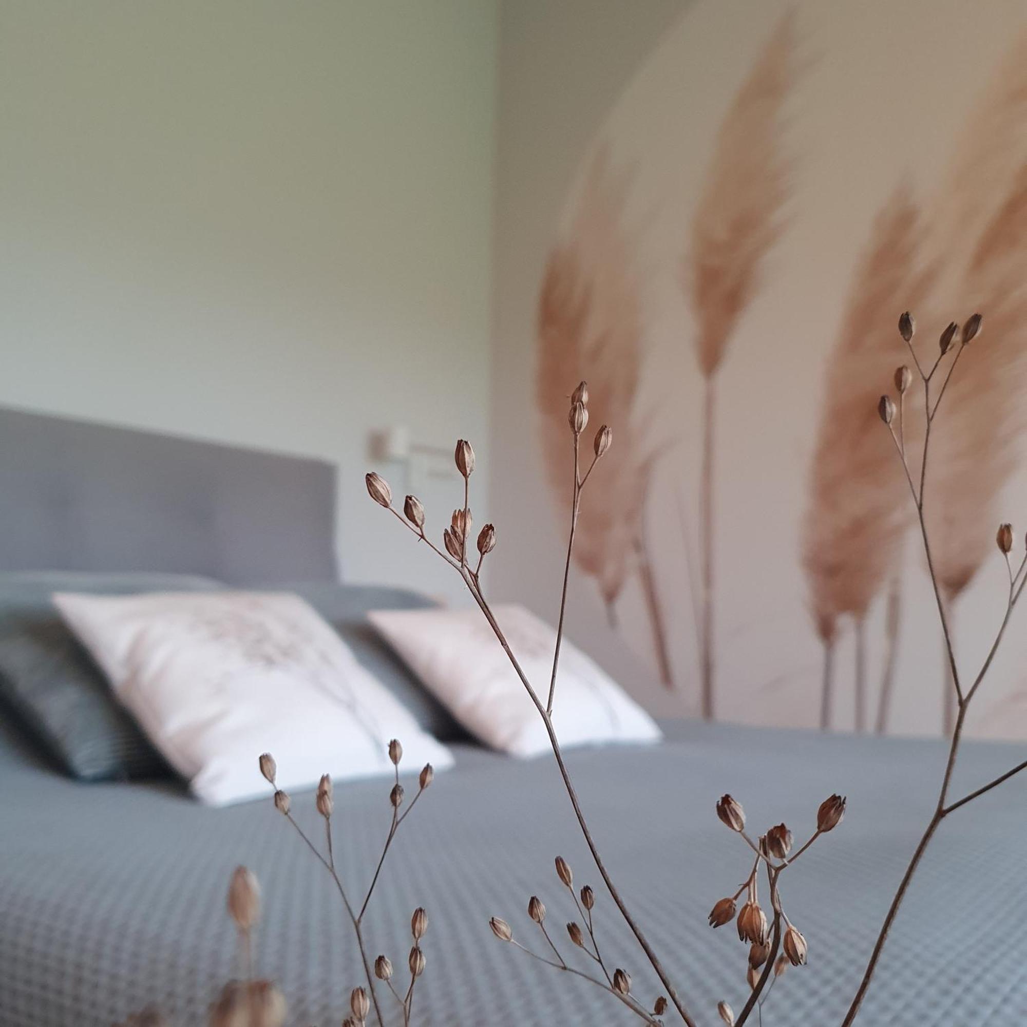 De Buorkerij Bed & Breakfast Tytsjerk ภายนอก รูปภาพ